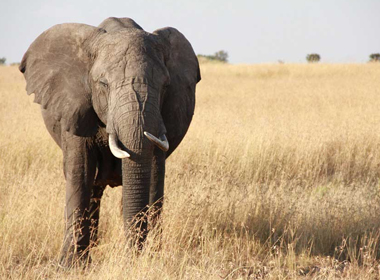 home_alex_gallery_small1